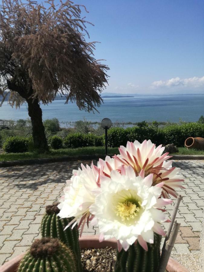 B&B Torre Del Lago Trasimeno Пассиньяно-суль-Тразимено Экстерьер фото