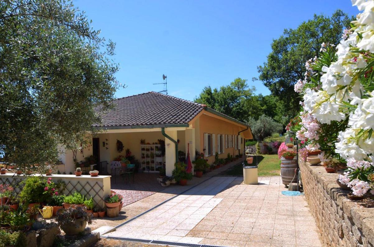 B&B Torre Del Lago Trasimeno Пассиньяно-суль-Тразимено Экстерьер фото